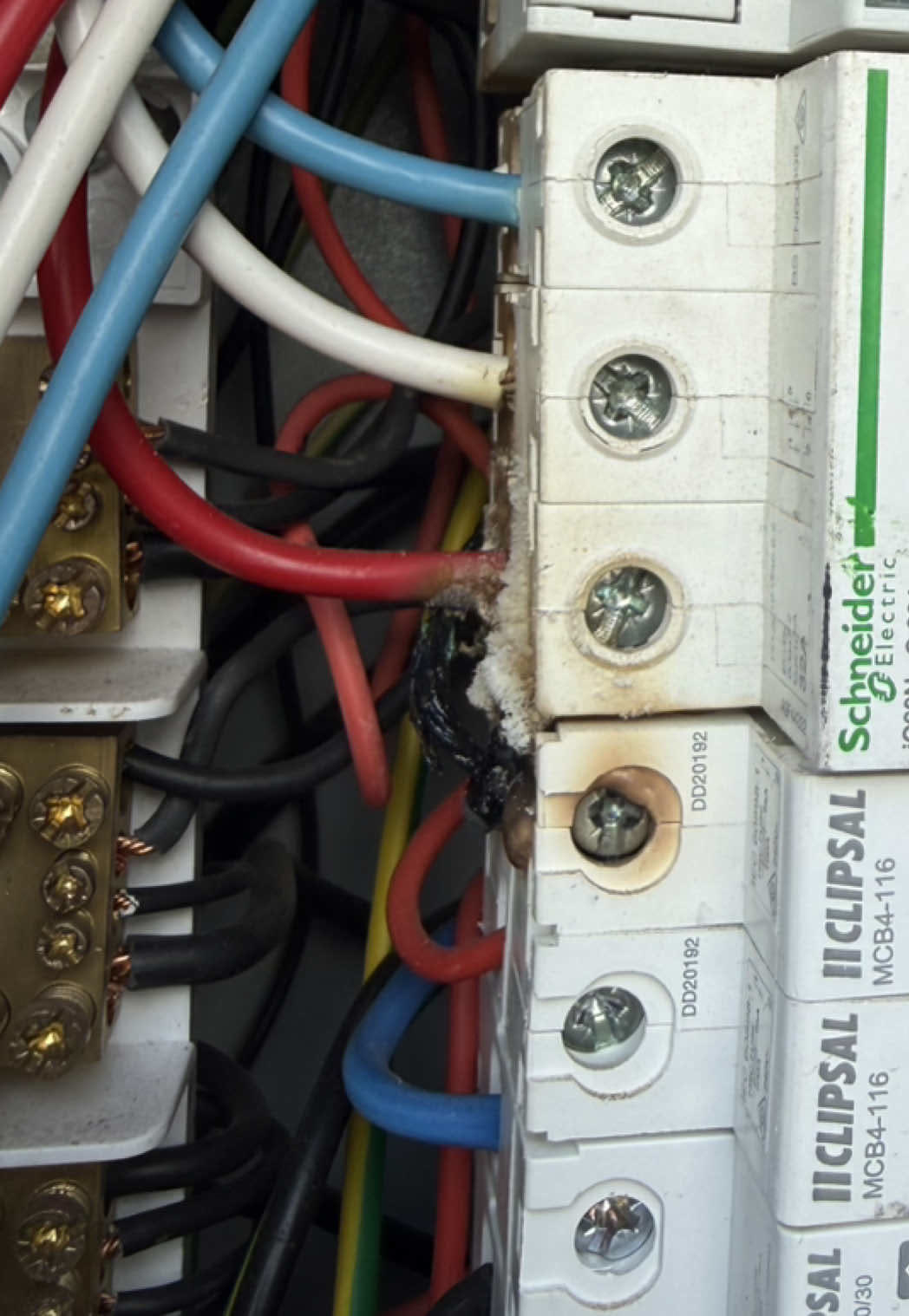 Scorched breaker terminal found on an emergency call-out